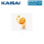 Kaisai VitC Filter mit Vitamin C
